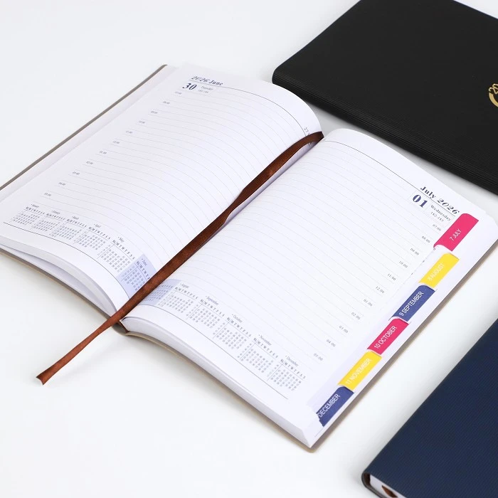 Diary 2026 best